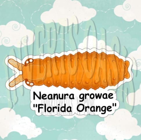 Neanura growae "Florida Orange" Bin Label