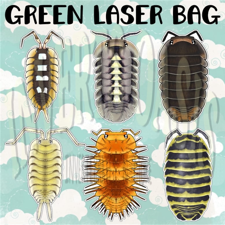 Oasis Vault Bag
