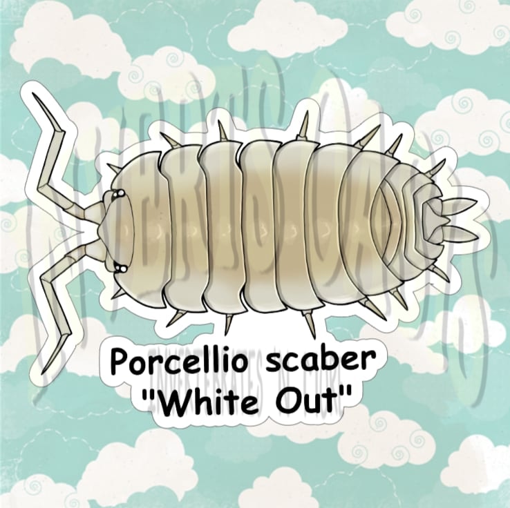 Porcellio scaber "Whiteout" Bin Label